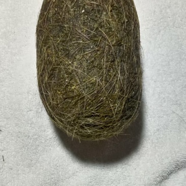 猪宝猪砂