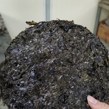 霞浦紫菜头水二水三水深海细嫩免洗优质凉拌煲汤福建干货霞浦特产