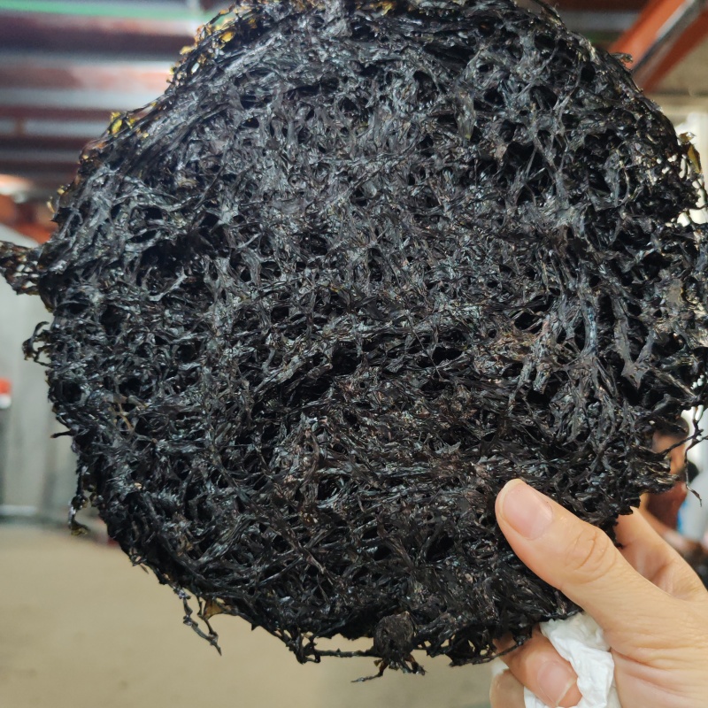 霞浦紫菜头水二水三水深海细嫩免洗优质凉拌煲汤福建干货霞浦特产
