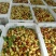 河北山地马牙枣，需要的和我联系