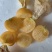 菇娘果（灯笼果）
