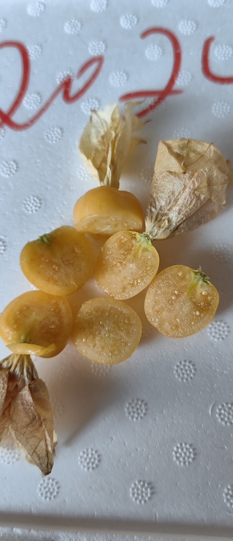 菇娘果（灯笼果）