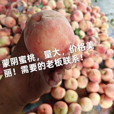 正宗蒙阴水蜜桃