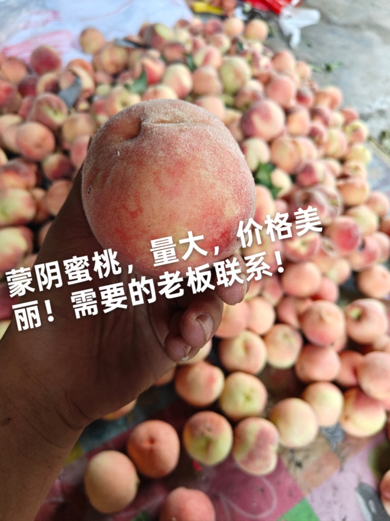 正宗蒙阴水蜜桃