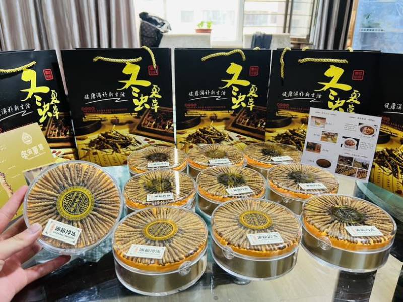 纯野生冬虫夏草，4000条网红小草