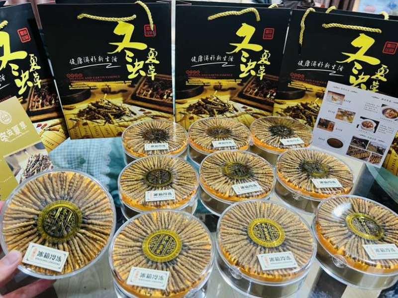 纯野生冬虫夏草，4000条网红小草