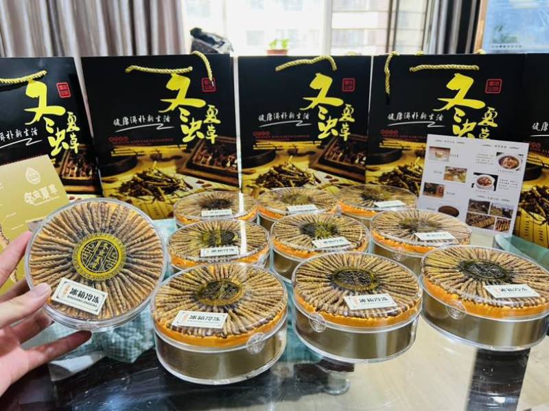 纯野生冬虫夏草，4000条网红小草