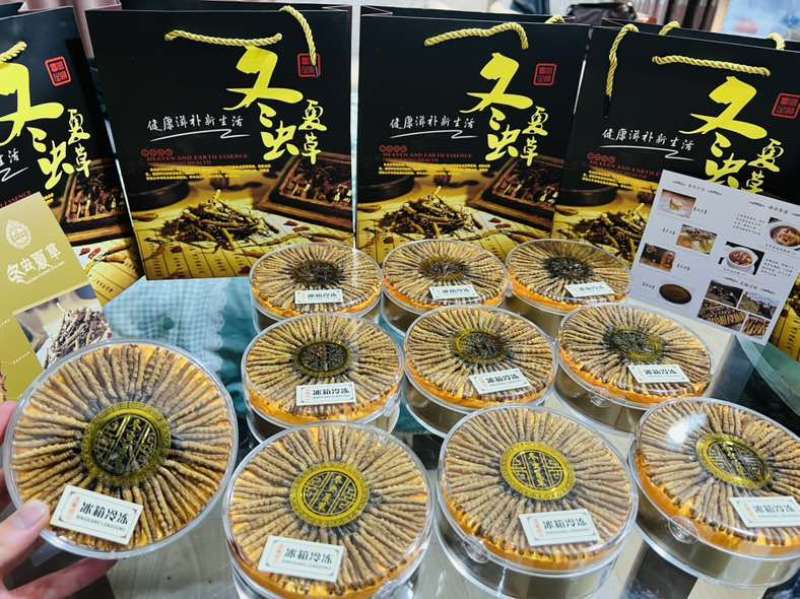 纯野生冬虫夏草，4000条网红小草