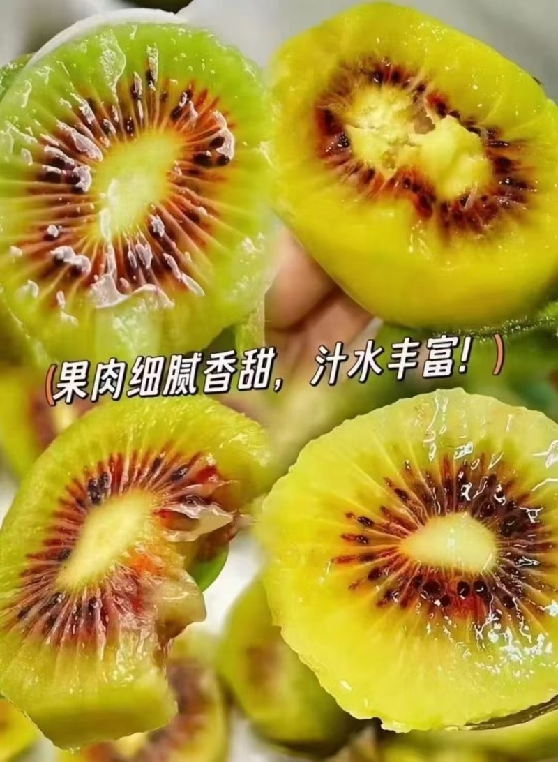 苍溪猕猴桃
