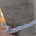 紫叶李树500棵，红枫200棵，金竹付叶西200棵，清地