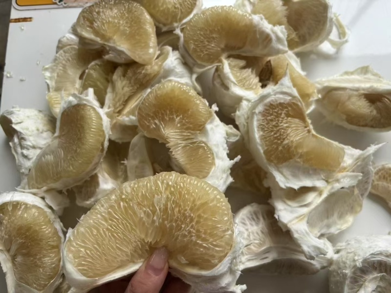 西双版纳东试早柚
