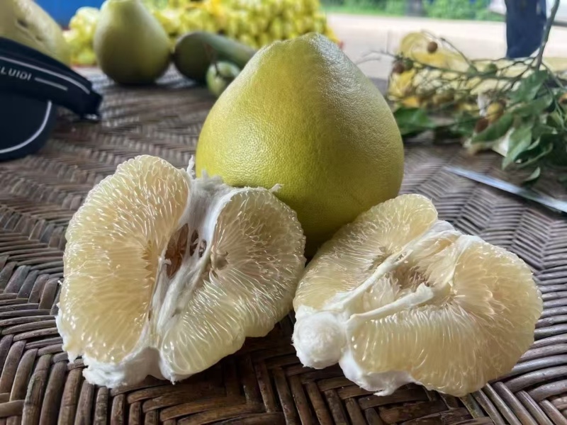 西双版纳东试早柚