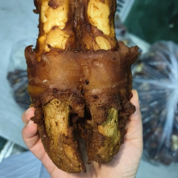 五香牛脚掌