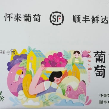 张家口怀来县葡萄基地，主营白马奶，红提美人指等20多品种