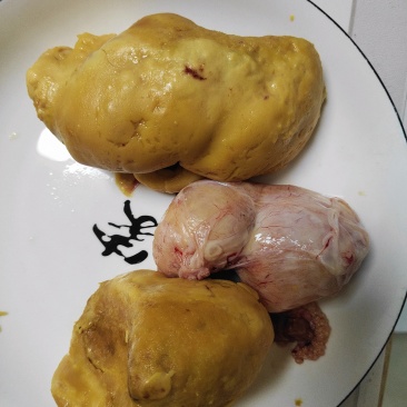 鸡宝