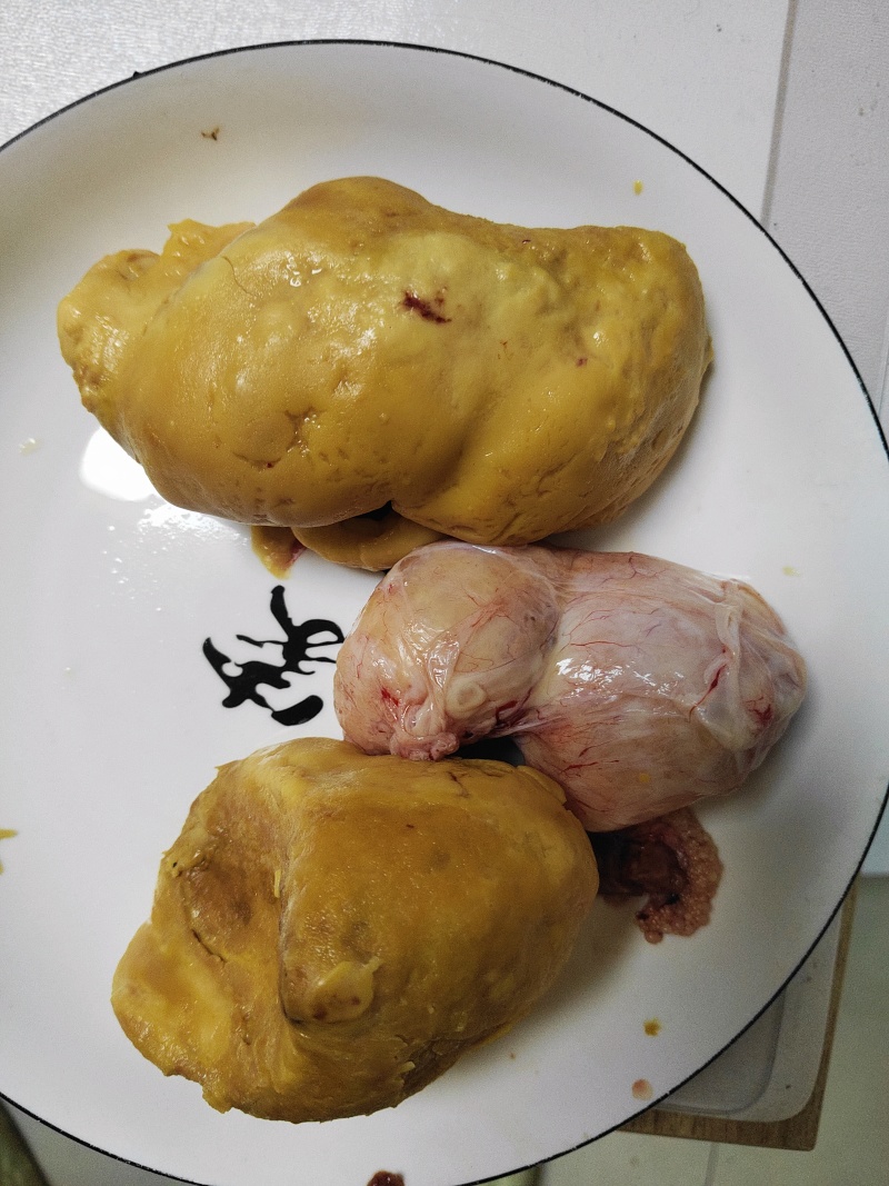鸡宝