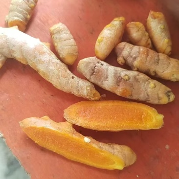 精品姜黄，原产地直供，价格实惠