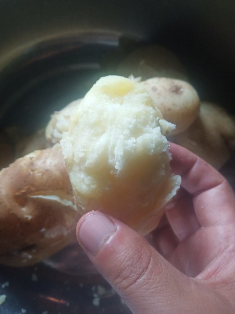 格萨拉高山农家肥土豆，有需要的老板可以联系，可到现场观察。