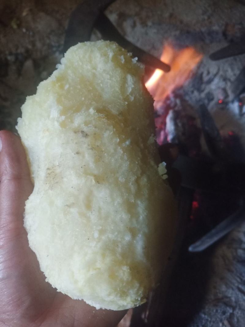 格萨拉高山农家肥土豆，有需要的老板可以联系，可到现场观察。