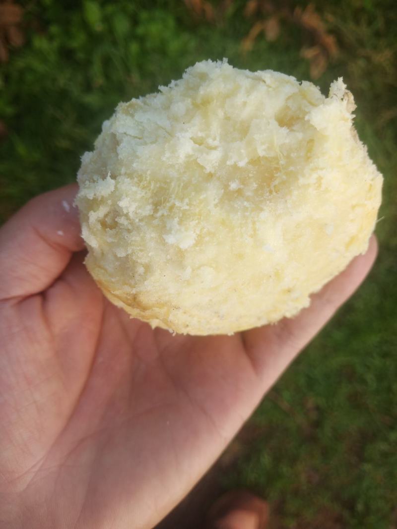 格萨拉高山农家肥土豆，有需要的老板可以联系，可到现场观察。