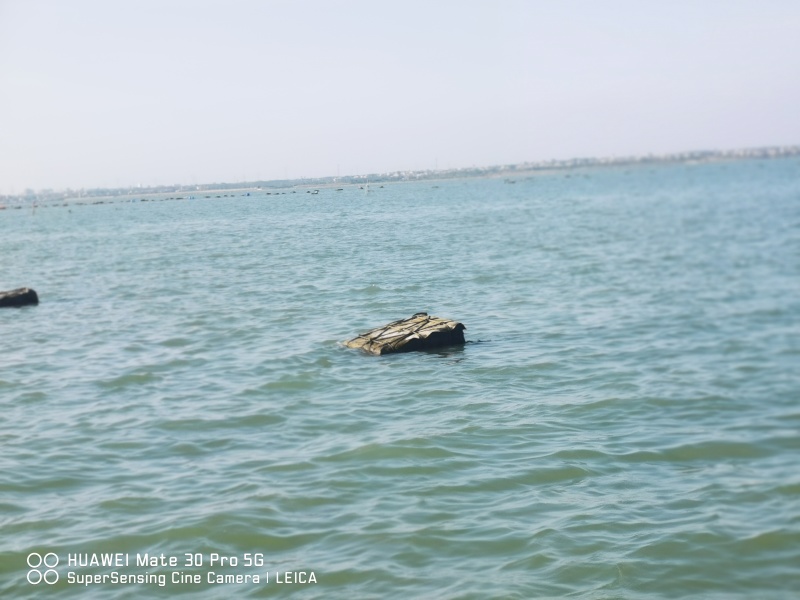 生蚝，海上牧场天然海鲜