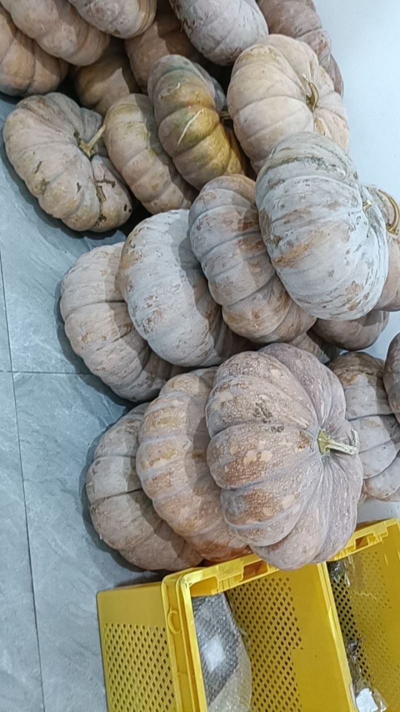 江西老南瓜老品种香甜粉面农家自种磨盘红肉南瓜当季现摘南瓜整箱