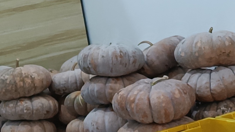 江西老南瓜老品种香甜粉面农家自种磨盘红肉南瓜当季现摘南瓜整箱
