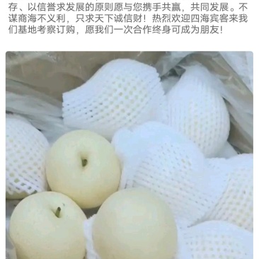 皇冠梨