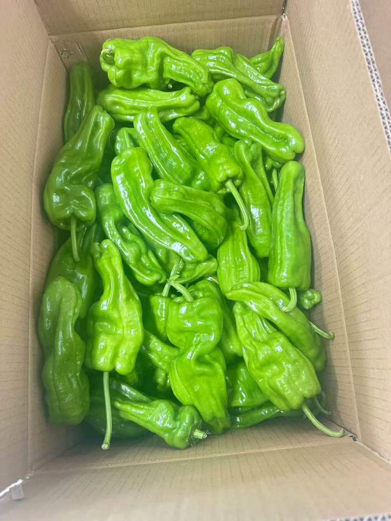 高山精品芜湖椒