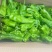 高山精品芜湖椒