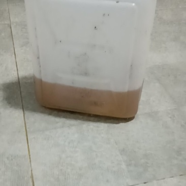 花生油