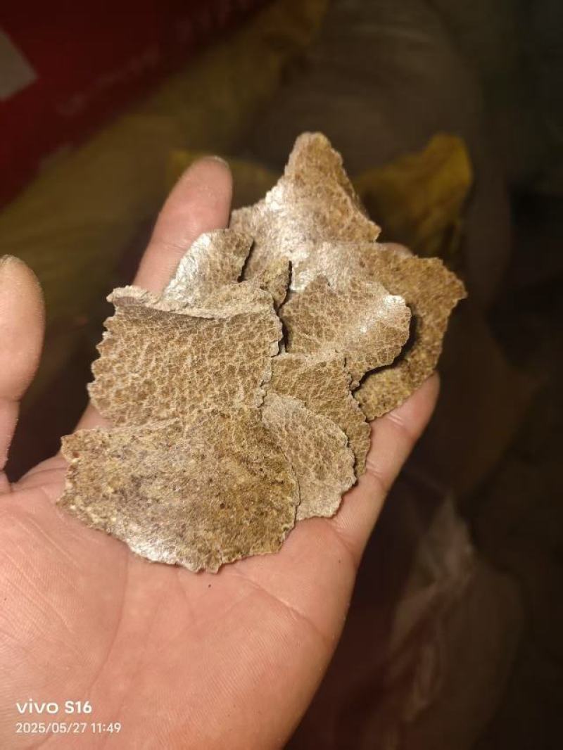上地棉饼，养殖棉饼