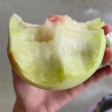 晚熟青脆桃，口感超甜无酸。。