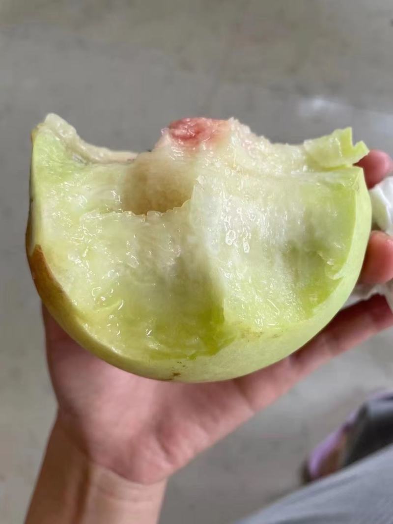 晚熟青脆桃，口感超甜无酸。。
