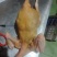 鲜杀三黄鸡