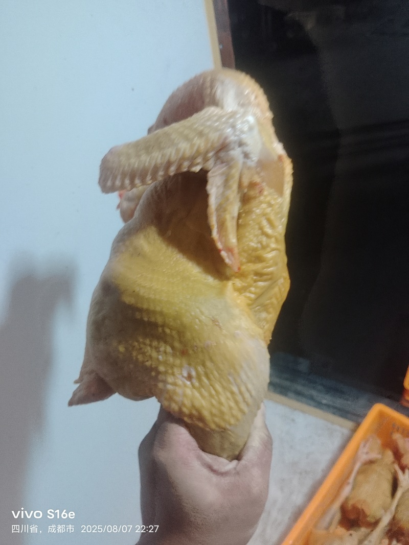 鲜杀三黄鸡