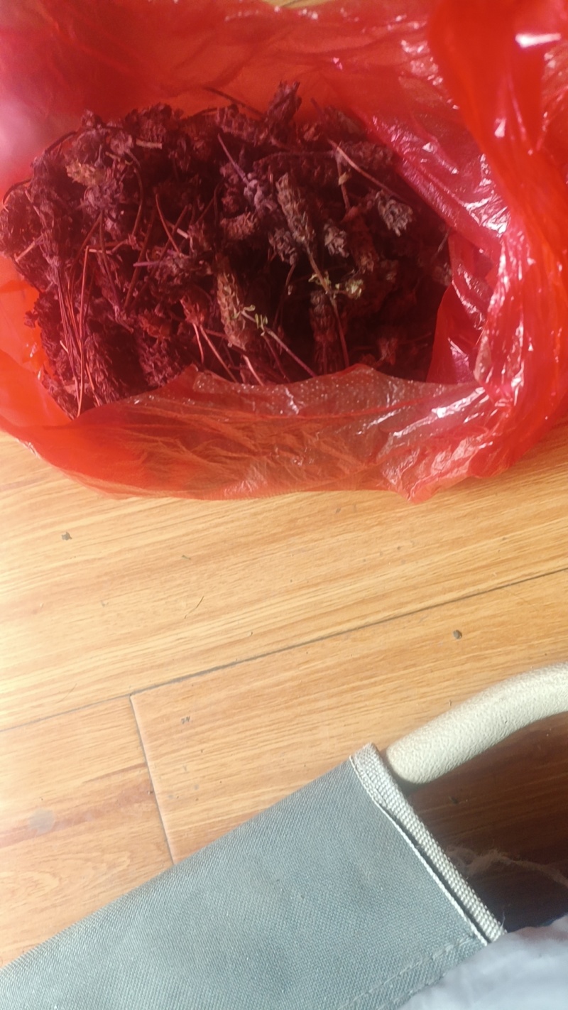 柘树根，乌药，墨旱莲，算盘子根，血藤，黄精等。