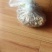 柘树根，乌药，墨旱莲，算盘子根，血藤，黄精等。