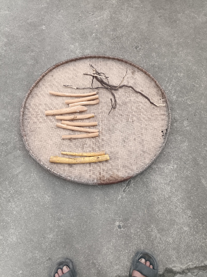 柘树根，乌药，墨旱莲，算盘子根，血藤，黄精等。