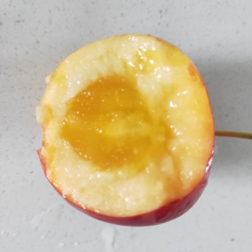 沙果