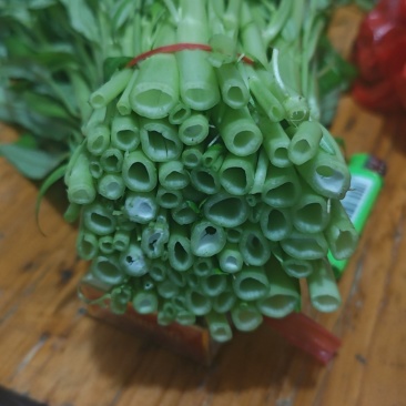 柳叶半青白