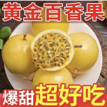 广西百香果，钦蜜9号，新鲜水果浆果类产地直供