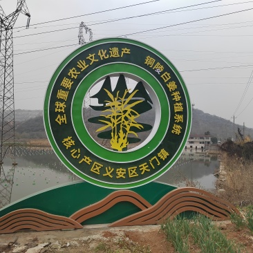 铜陵白姜系列产品