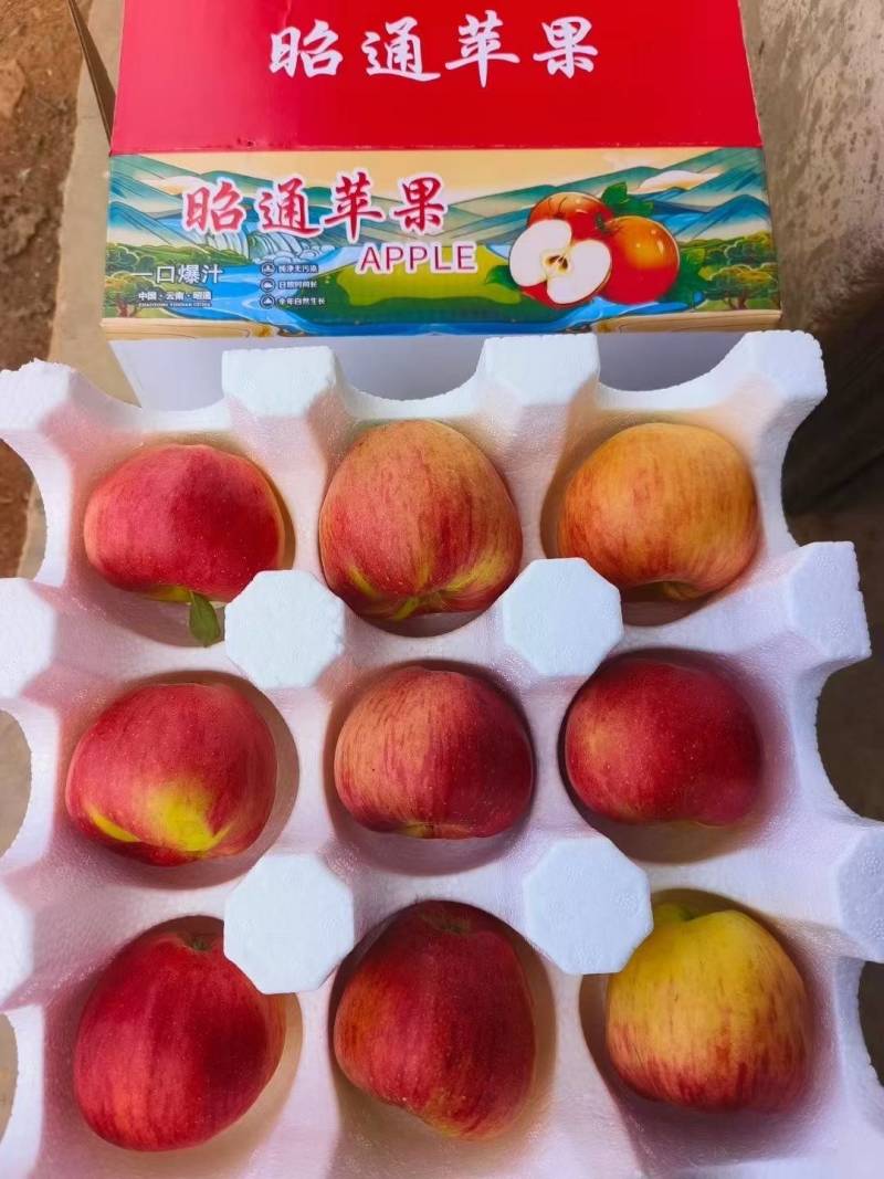 昭通红露苹果精装上市，一件包邮，尝鲜正当时！