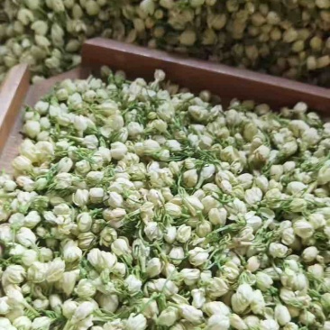 横县本土茉莉花干花蕾
