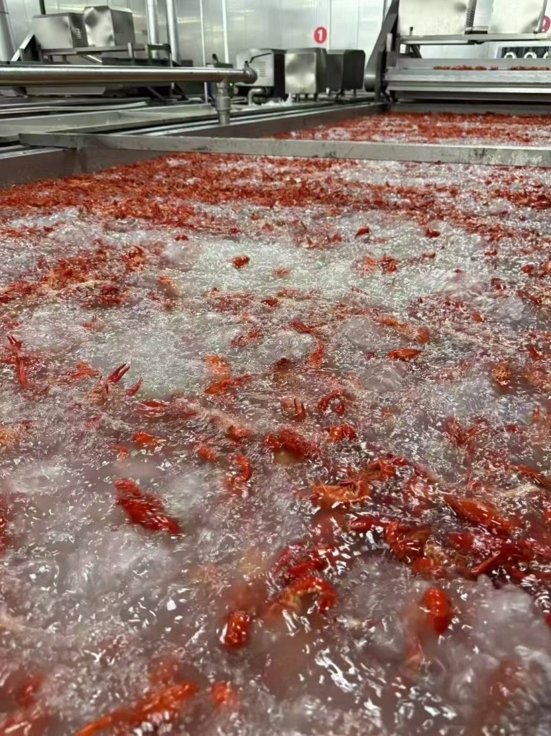 洪湖诱惑清水小龙虾洪湖诱惑油炸虾液氮虾3～5，4～6，