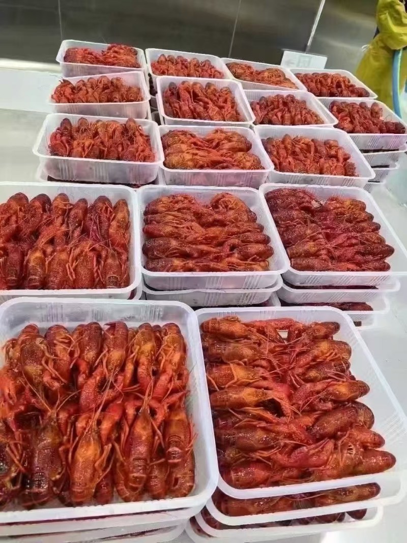 洪湖诱惑清水小龙虾洪湖诱惑油炸虾液氮虾3～5，4～6，
