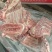 猪肉冻品