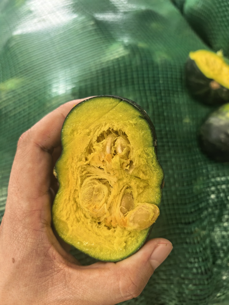 贝贝南瓜