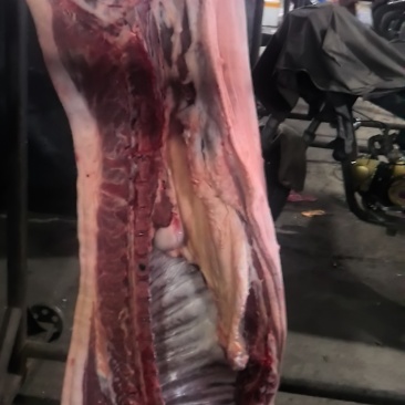 猪肉